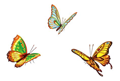 3 Butterflies Brabet