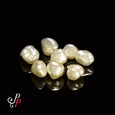 6 Pure Pearls Brabet