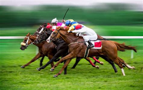 Apostas Em Corridas De Cavalos Maua