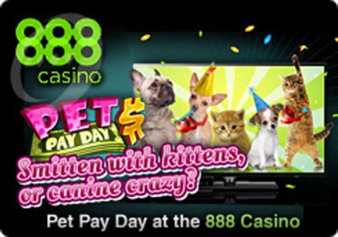 Baby Pet 888 Casino