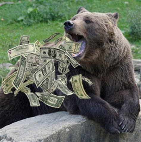 Bear Money Betsul