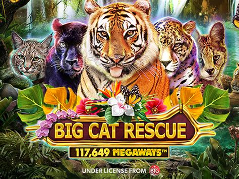 Big Cat Rescue Megaways Bwin