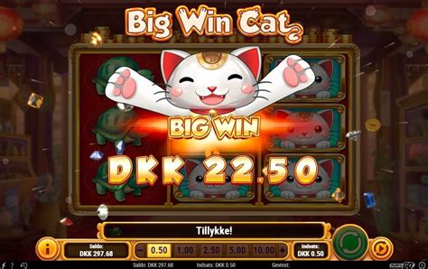 Big Win Cat Slot - Play Online