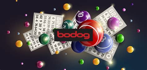 Bingo 37 Bodog