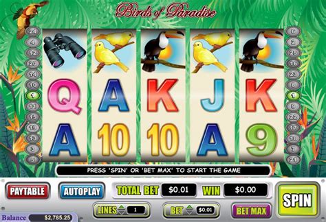 Birds Of Paradise Slot - Play Online