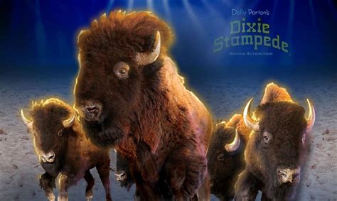 Bison Stampede Review 2024