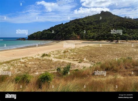 Black Jack Beach Coromandel