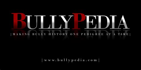 Blackjack Bullypedia
