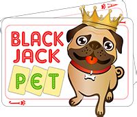 Blackjack Caes Imagens