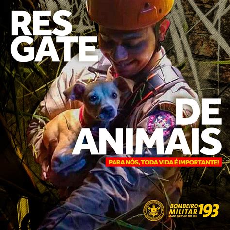 Blackjack De Resgate De Animais Inc