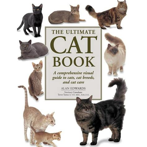 Book Of Cats Betsson