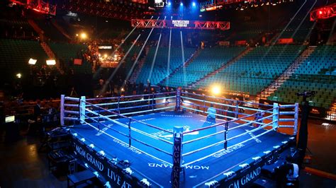 Boxing Arena Netbet