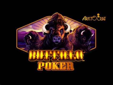 Buffalo Poker Executar Rota