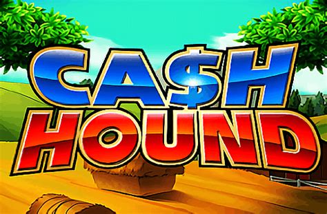 Cash Hound 1xbet