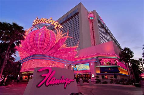 Casino Perto De Flamingo