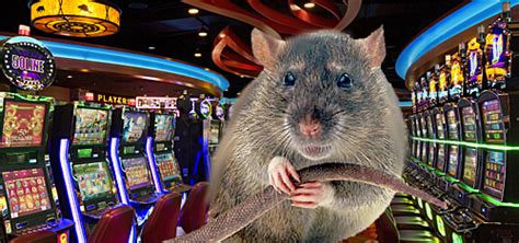 Casino Rat