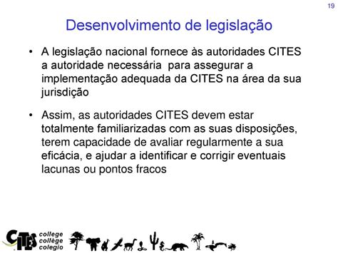 Casino Reinvestimento Autoridade De Desenvolvimento De Legislacao