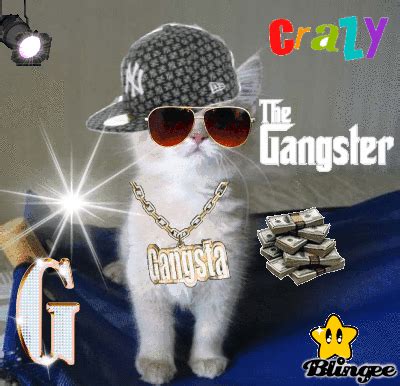 Cat Gangster Blaze