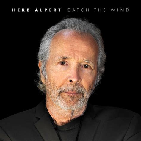 Catch The Wind Review 2024