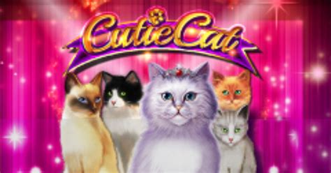 Cutie Cat Pokerstars