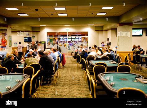 Daytona Poker Kennel Clube