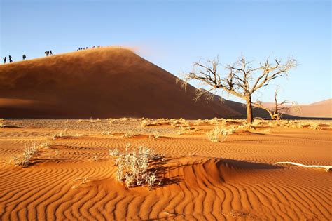 Deserto Cassino Namibia