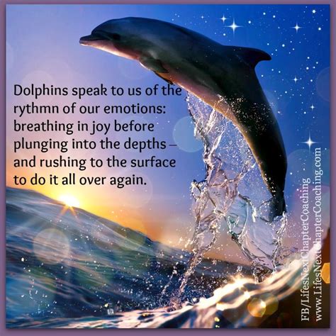 Dolphin S Blessing Brabet