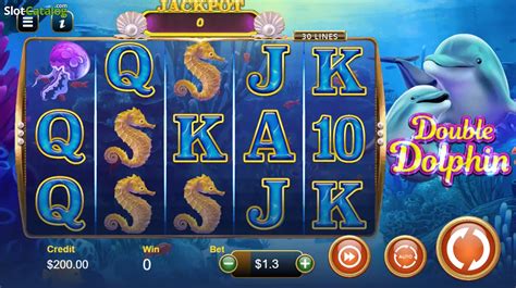 Double Dolphin Jackpot Review 2024