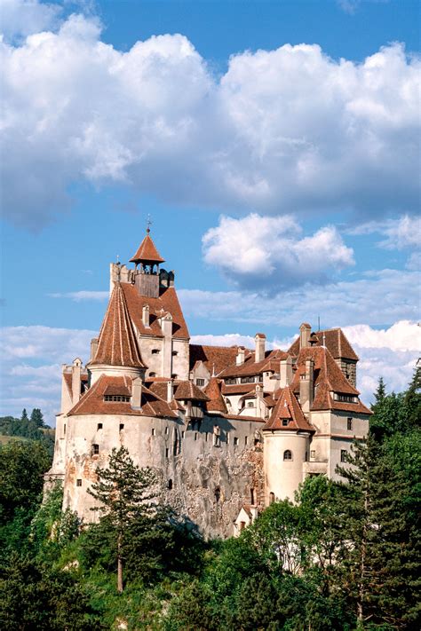 Dracula S Castle Novibet