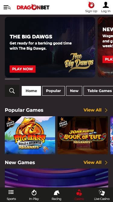Dragonbet Casino Online