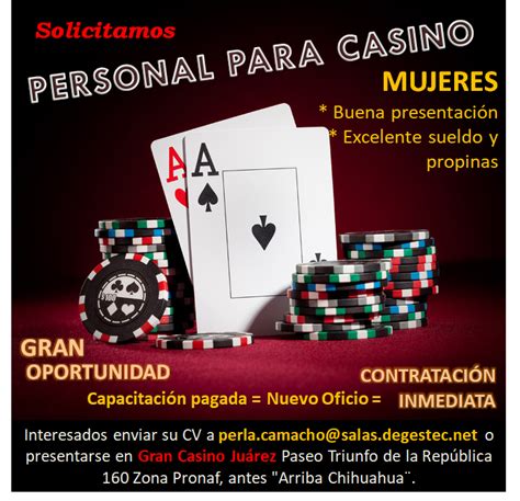 Empleo Vida Casino Df