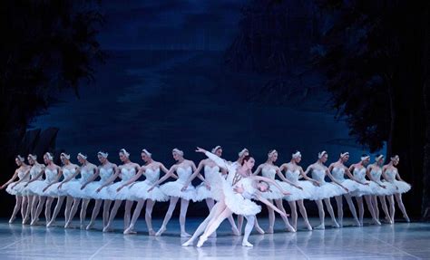 Espectaculo De Ballet Montecasino