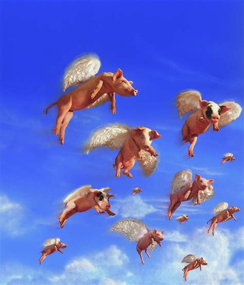 Flying Pigs Sportingbet