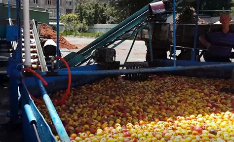 Fruto Genie Maquina De Fenda