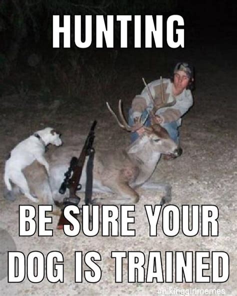 Funny Hunting Betsul