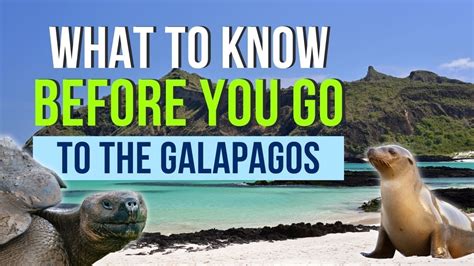 Galapagos Islands Betfair