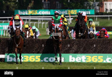 Golden Fields Bet365