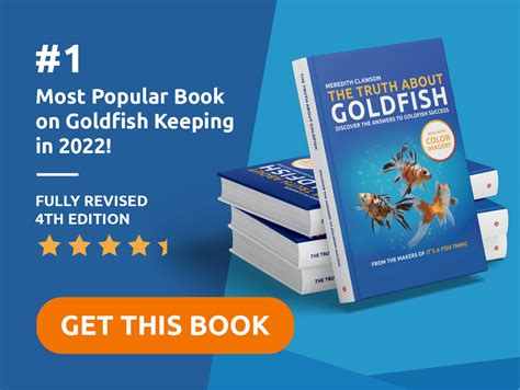 Goldfish Review 2024