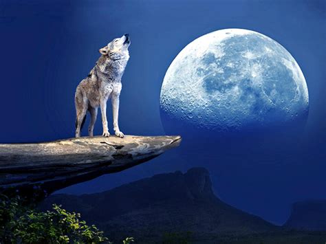 Howling At The Moon Netbet