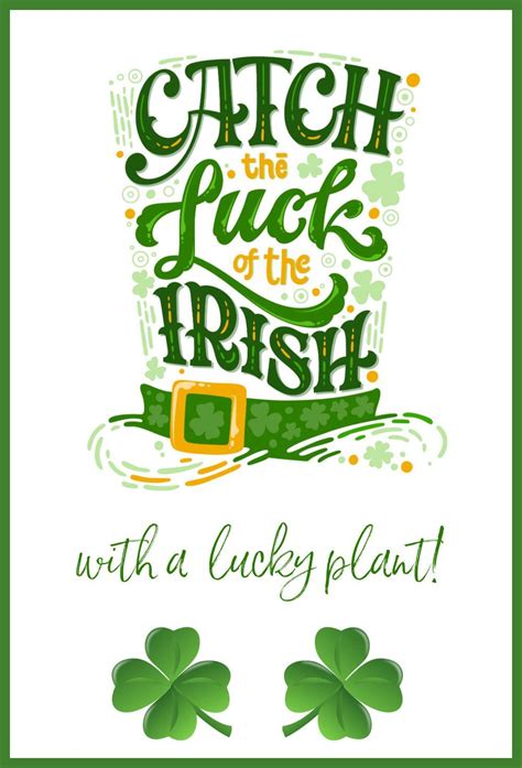 Irish Luck Blaze