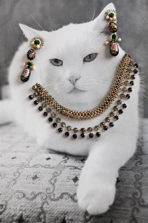 Jewelry Cats Sportingbet