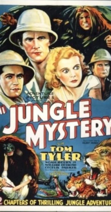 Jungle Mystery Brabet