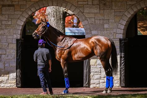 Keeneland Maquinas De Fenda