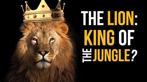 King Of The Jungle Betsson