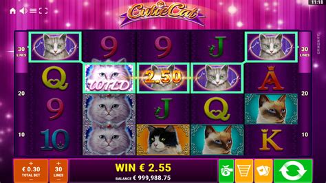 Kitty Cutie 888 Casino