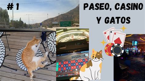 Legal Gatos Casino
