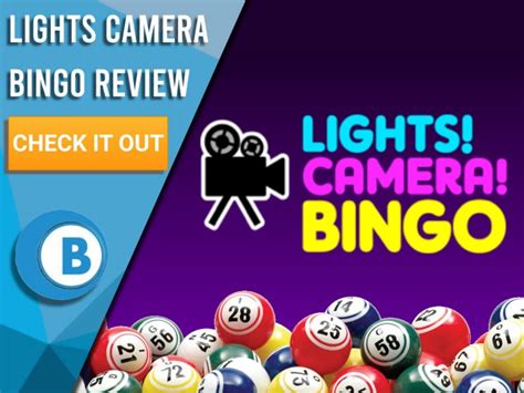 Lights Camera Bingo Casino Aplicacao
