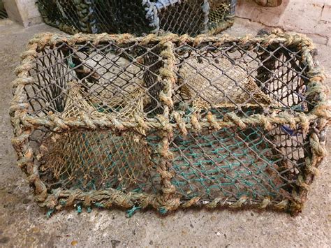 Lobster Pots Bwin