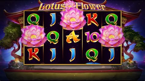 Lotus Flower Review 2024