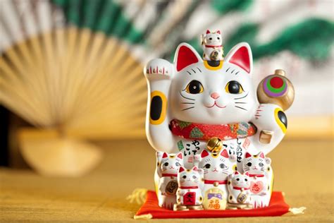 Lucky Cat Review 2024